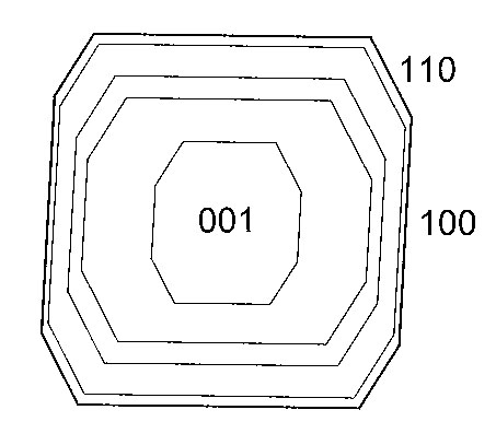 crystal drawing of zoned labradorite, projection on (001)